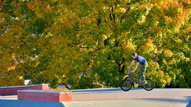 Toronto, Ontario / Kanada - 23 Ekim 2014: Kamu parkında dağ bisikleti süren bir çocuk