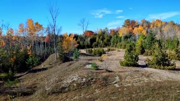 Panning Shot Autumn Leaf Colour Reclaimed Strip Mines Ontario — Vídeo de Stock
