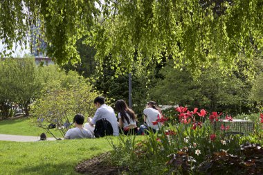 Toronto, Ontario / Kanada - 26 Mayıs 2019: Bahar güneşinin tadını çıkarmak, sağlıklı yaşam tarzı.