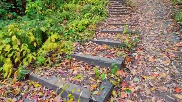 Kamu Parkındaki Merdivenlerde Sonbahar Yaprağı Rengi — Stok video