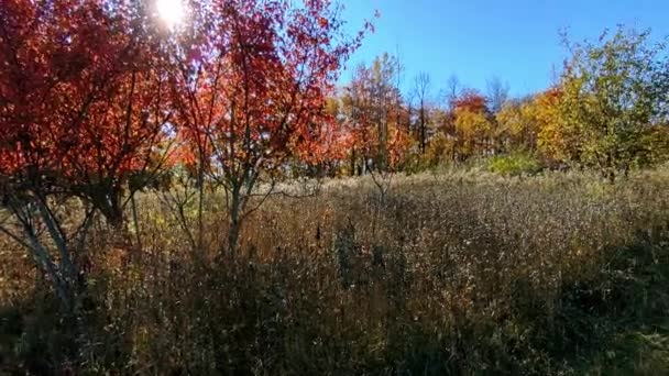 秋の景色を望むハイキングコース — ストック動画