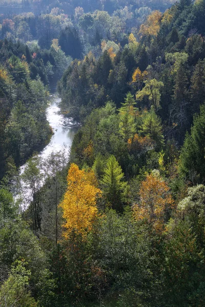 Drönare Utsikt Över Nationalparkens Floddal Hösten Färgstark Utomhusscen — Stockfoto