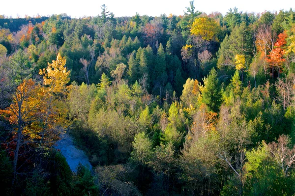 Solljus Tidigt Morgonen Nationalparkens Floddal Hösten — Stockfoto