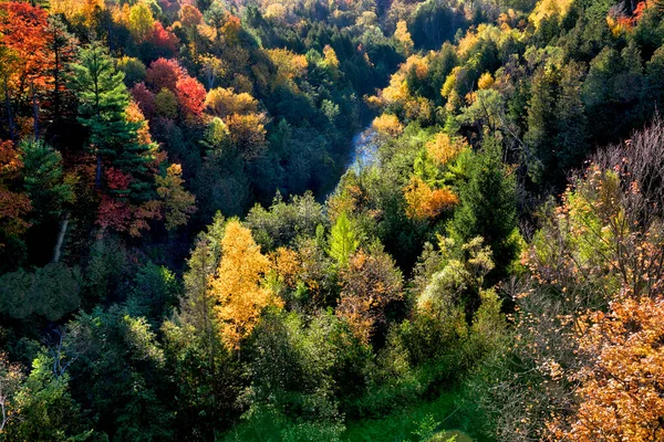 stock image Aerial view of colourful autumn forest and river valley