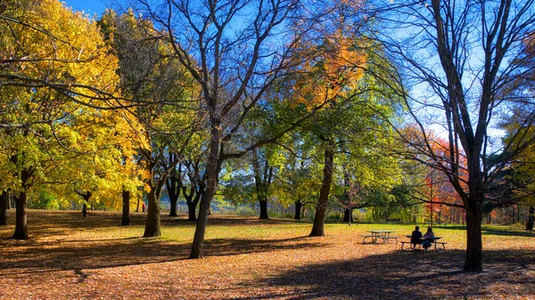 Пара Сидящая Скамейке Парке Осенним Листом Осенний Цвет Листьев Общественном — стоковое фото