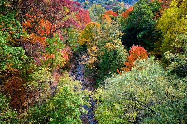 stock image Aerial drone view of colourful autumn leaf colour with a stream in the valley