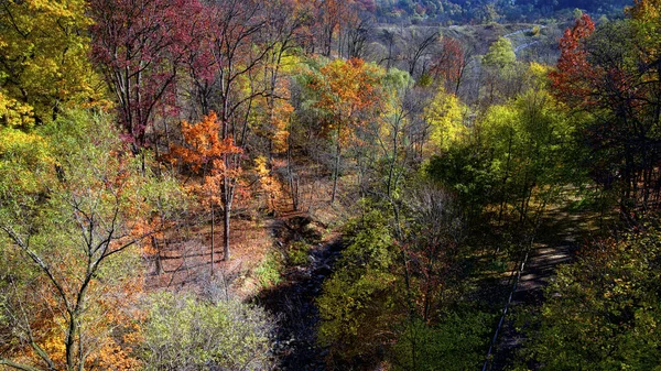 stock image Aerial view of the river valley with autumn leaf colour.  Colourful outdoor scene