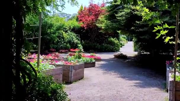 Caminhando Pelo Jardim Quintal — Vídeo de Stock