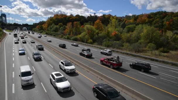 Sonbahar Yaprağı Renginde Don Valley Parkway Trafiğinin Hava Görüntüsü — Stok video