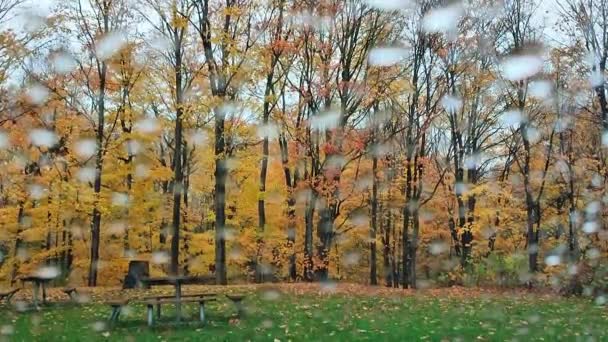 Dešťové Kapky Povrchu Okna Auta Podzimní Barvou Listů — Stock video