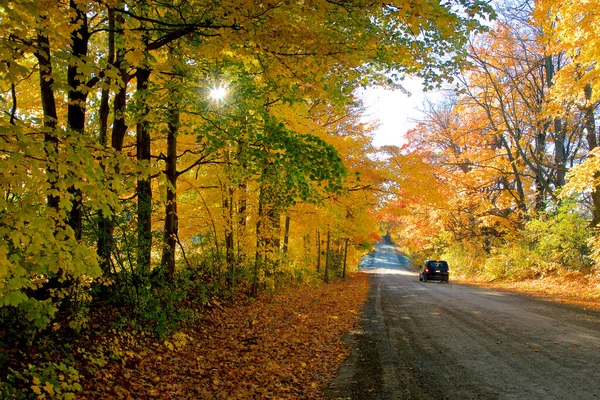 Car on a beautiful country road with autumn leaf colour and lens flare