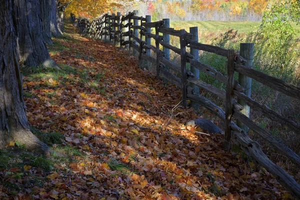 Diminishing perspective view of rail fence with maple leaves covering the ground