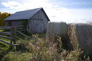 Bir tarlada sonbahar saman balyası manzarası