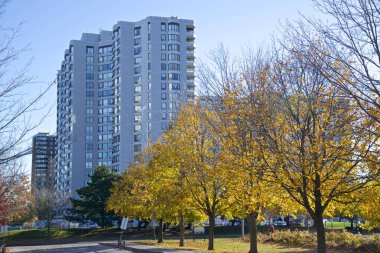 Kamu parkında sonbahar yaprağı rengi ve arka planda bir apartman dairesi