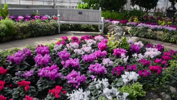 Λουλούδια Ένα Σύγχρονο Θερμοκήπιο Θερμοκήπια Για Την Καλλιέργεια Λουλουδιών — Αρχείο Βίντεο
