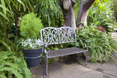 Toronto, Ontario, Kanada 'da bir konservatuarın içinde bir park bankında.