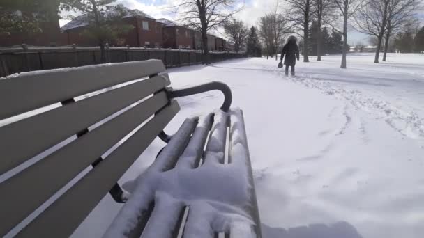 Vrouwen Wandelen Een Openbaar Park Een Sneeuwstorm Winter — Stockvideo