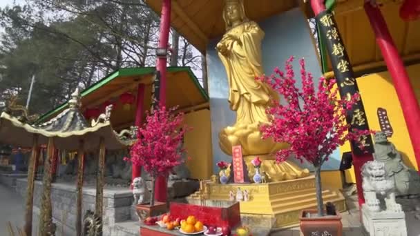 Budizm Guanyin Heykeli Toronto Kanada Daki Tapınakta — Stok video