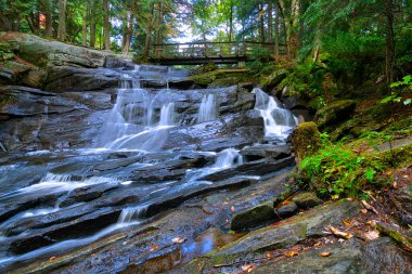Bracebridge, Ontario / Canada - 09 / 28 / 2018: Sonbahar döneminde Ontario kırsalındaki tatlı su akarsularındaki kayalar ve kayalar