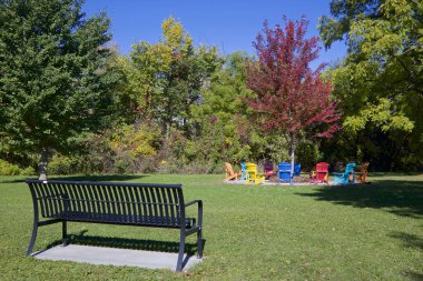 Halka açık bir parkta park bankında renkli Muskoka sandalyeleri daire şeklinde dizilmiş.