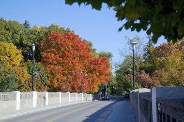 Sonbahar yaprağı renginde bir araba köprüden geçiyor.