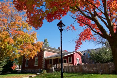 Evin dış tarafında kırmızı bir akçaağaç ve sokak lambası var.