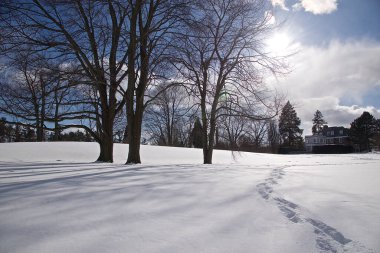 Kış harikalar diyarı: Kardaki ayak izleri