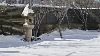 Japon bahçesinde kış manzarası