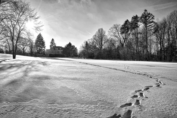 Siyah ve beyaz. Kış manzarası güneş ışığıyla aydınlık ve dingin doğa sahnesi ayak iziyle