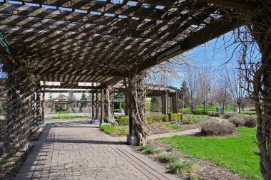 Kirişlerden yapılmış ahşap bir kubbe. Richmond Hill 'deki halk parkının avlusundaki pergola.