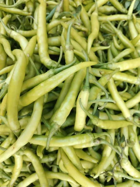 stock image Closeup view of fresh green chillies for multipurpose use of projects