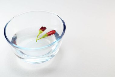 Beyaz arka planda izole edilmiş cam bir kasede yüzen çiçek tomurcukları.