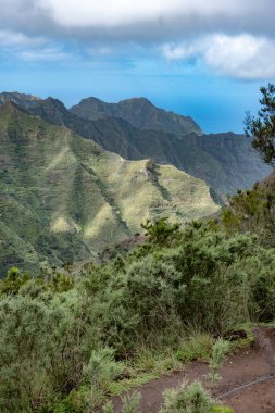 Yeşil doğal dağlardaki tenerife yolu, kanarya ve İspanya 'daki uzak köyün güzel manzara fotoğrafı.