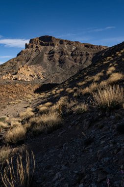 Tenerife, kanaryalar, İspanya 'daki El Teide volkanı dağ sırası çölündeki yürüyüş yolu manzarası.