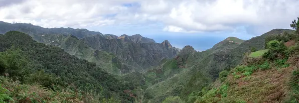 Enorme Panorama Oscuro Malhumorado Bosque Verde Oscuro Montañas Terenife Isla —  Fotos de Stock