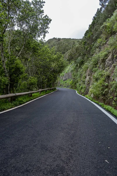 Темная Дорога Зеленой Естественной Нетронутой Горной Цепи Острове Тенерифе Канарии — стоковое фото