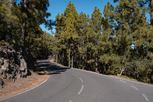 Leere Kurvenreiche Straße Grüne Bäume Sommer Auf Teneriffa Spanien — Stockfoto