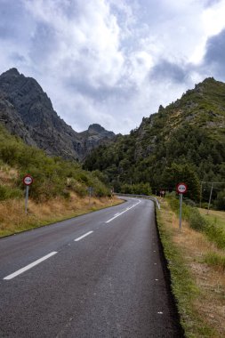 Cordillera Cantabrica, picos da europa, Leon, asturias, İspanya 'da yaz boyunca dağlarla ve ağaçlarla dolu doğal parktan geçen güzel bir manzara fotoğrafı.
