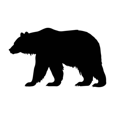 ayı silueti beyaz vektör çiziminde izole edildi