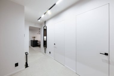 bright and stylish house interior design with white walls and doors