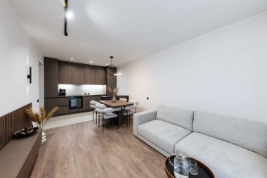 Studio kitchen interior design with kitchen furniture and lighting