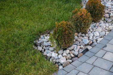 Yeni yeşil çimenler ve evin yakınındaki çalılar.