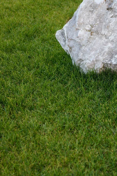 young green lawn near the house with decor