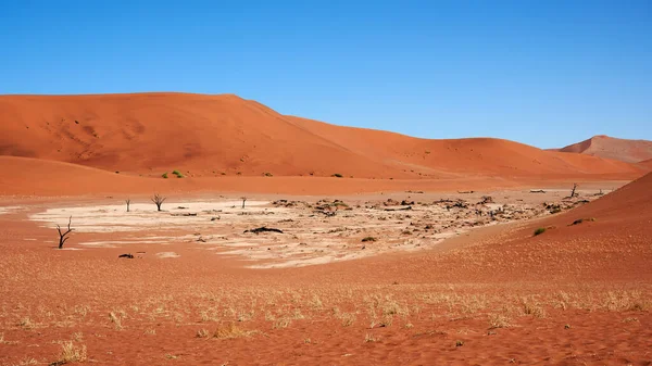 Vakkert Landskap Namib Ørkenen Ved Deadvlei – stockfoto