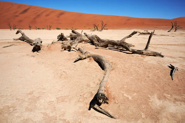 Bellissimo Paesaggio Nel Deserto Del Namib Deadvlei — Foto Stock