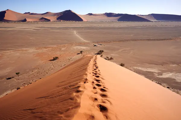 在纳米布沙漠的沙丘上漫步是一次美妙的经历 从上面看得见的风景肯定是对爬山努力的回报 图库图片