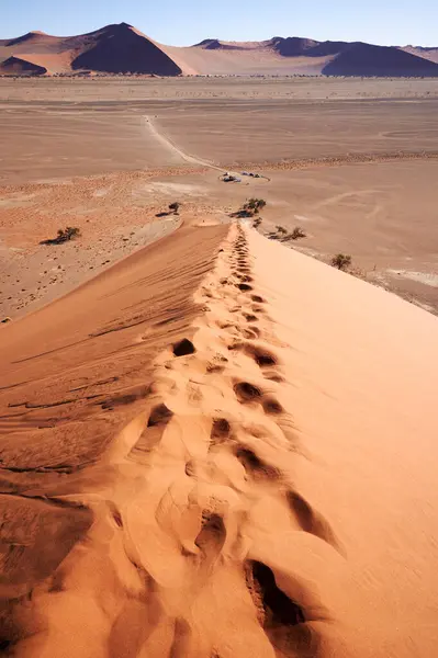 Namib Çölü Nde Bir Kum Tepesinde Yürümek Güzel Bir Deneyimdir Stok Resim