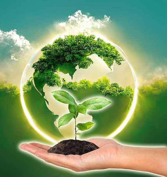 Plant in the hand on green and earth shape background - Corporate social responsibility concept.
