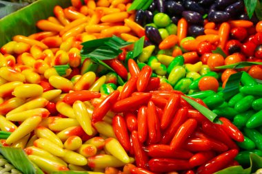 Çan biberi, kırmızı biber, havuç, mısır, bezelye, brokoli, karnabahar, patlıcan ve bir tepside sergilenen salatalık da dahil olmak üzere canlı organik sebzeler..