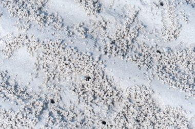 Close-up of small sand balls on a beach made by sand bubbler crabs, highlighting intricate natural patterns. clipart